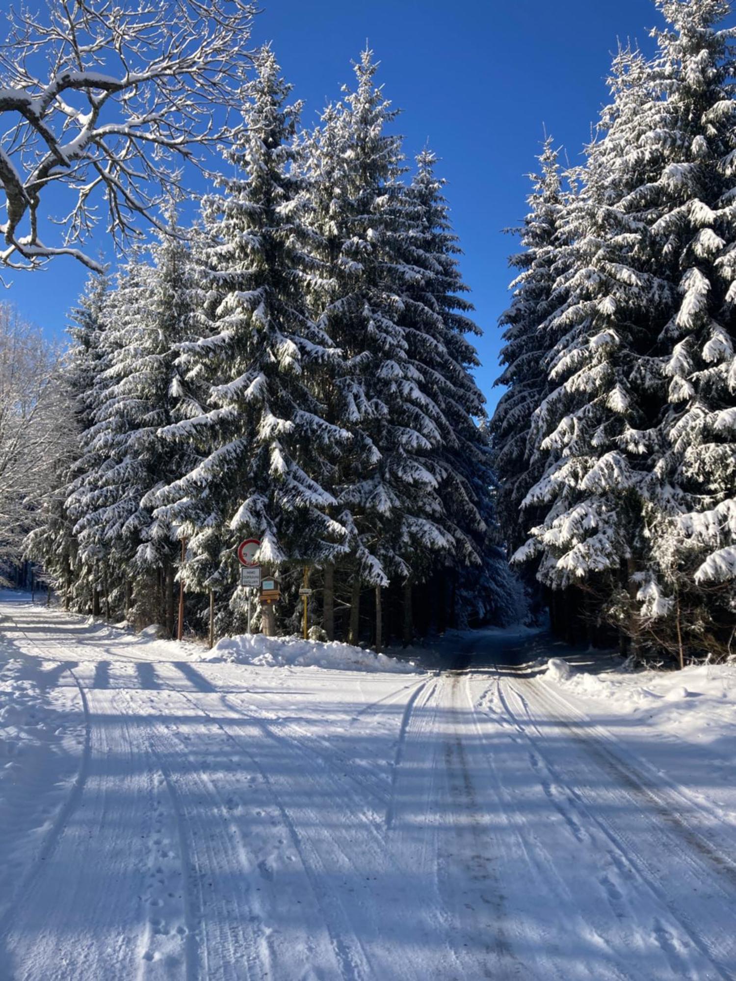 Penzion Na Habesi Kasperske Hory Bagian luar foto