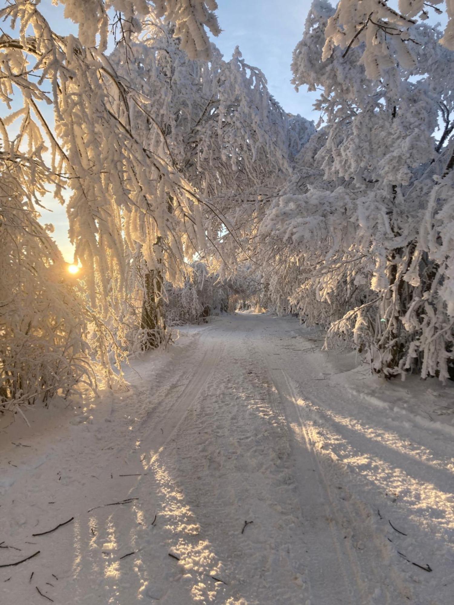 Penzion Na Habesi Kasperske Hory Bagian luar foto